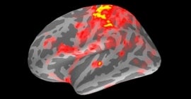 Cognitive Neurodynamics Laboratory