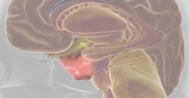 Pituitary Center