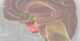 Pituitary Center